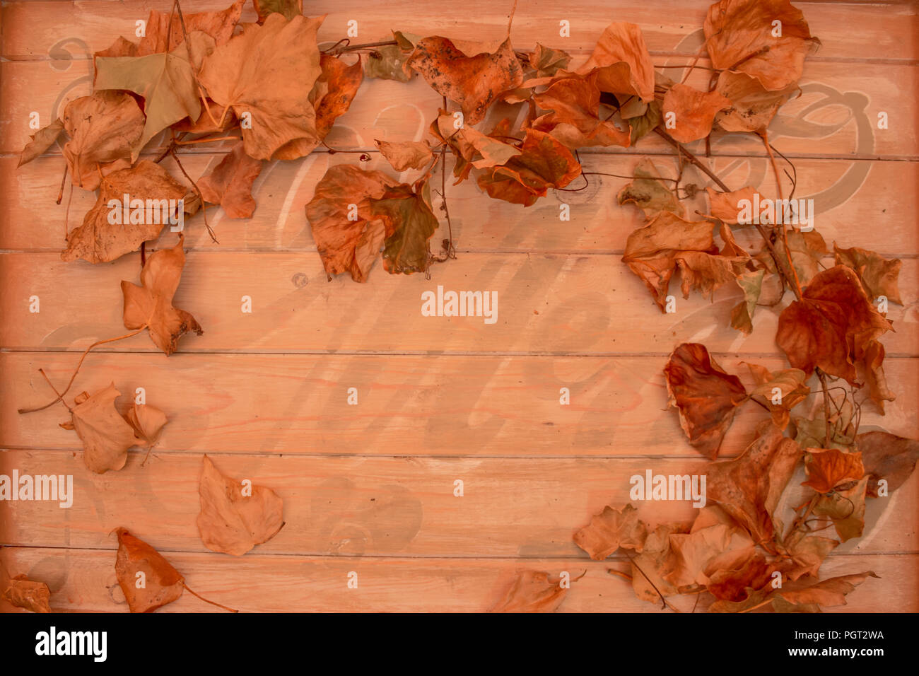 Rustico foglia vecchio telaio vecchio segno sfondo con spazio per la copia Foto Stock