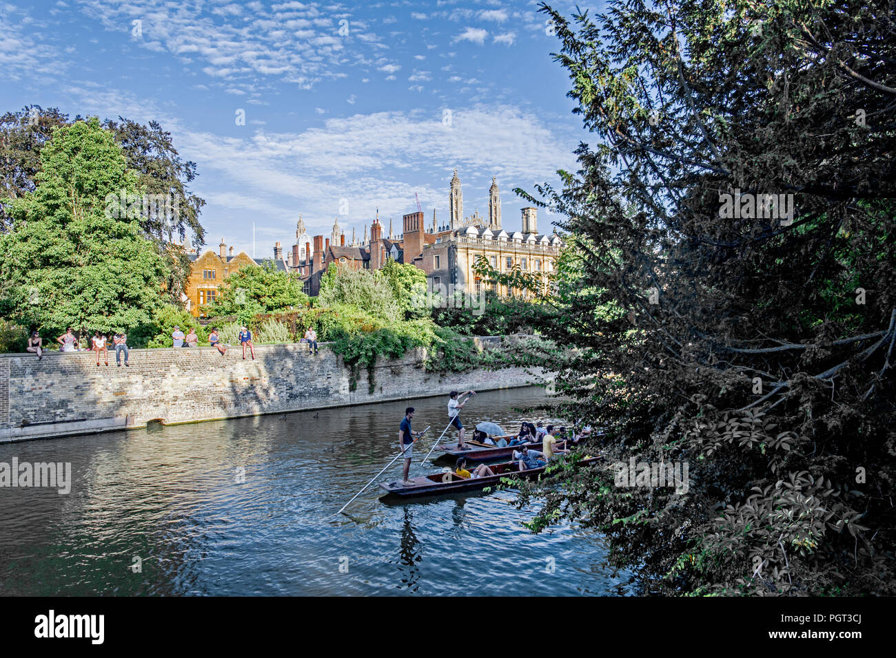 Cambridge (Inghilterra e Gran Bretagna): punting sul fiume Cam; Bootsfahrten auf der Cam Foto Stock