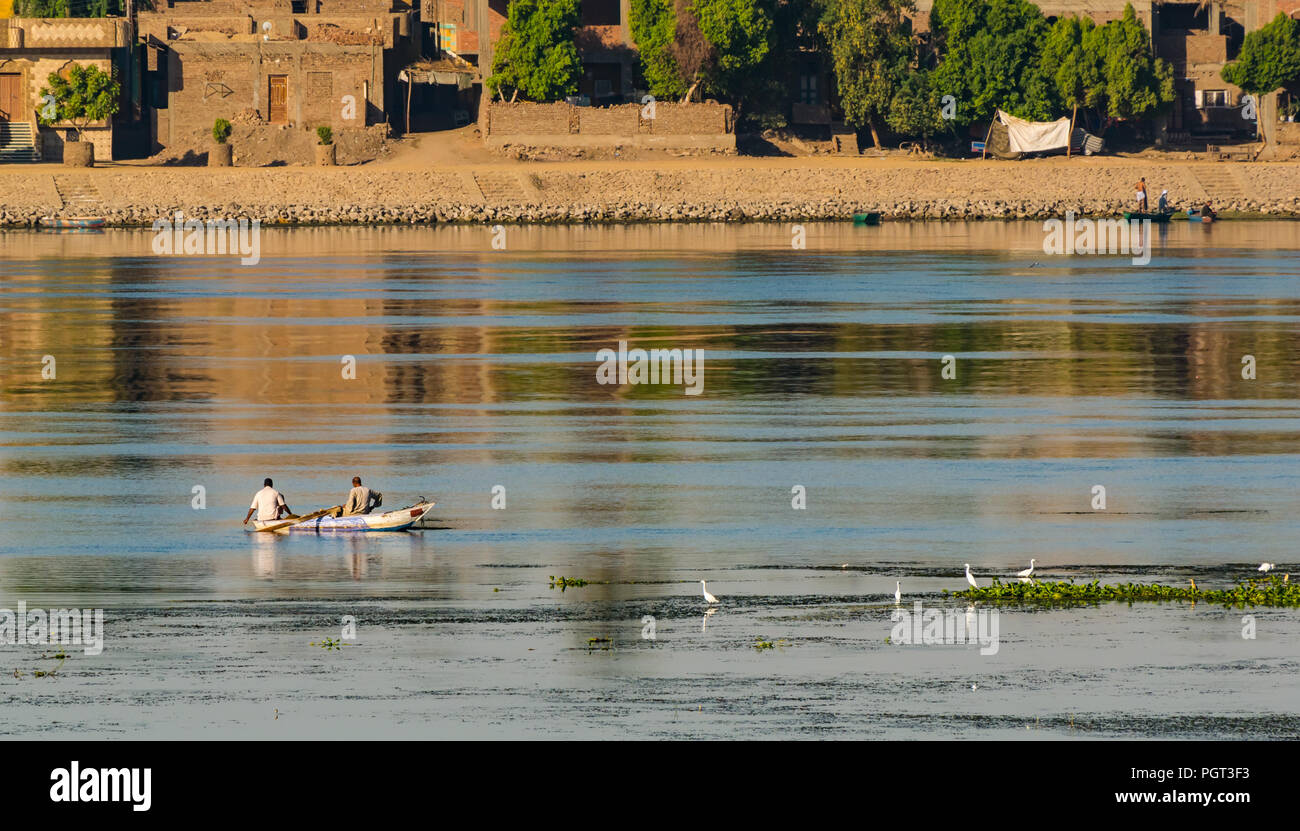 Locale egiziano di uomini in barca a remi in inizio di mattina di luce, con acqua le riflessioni e le garzette Fiume Nilo, Egitto, Africa Foto Stock