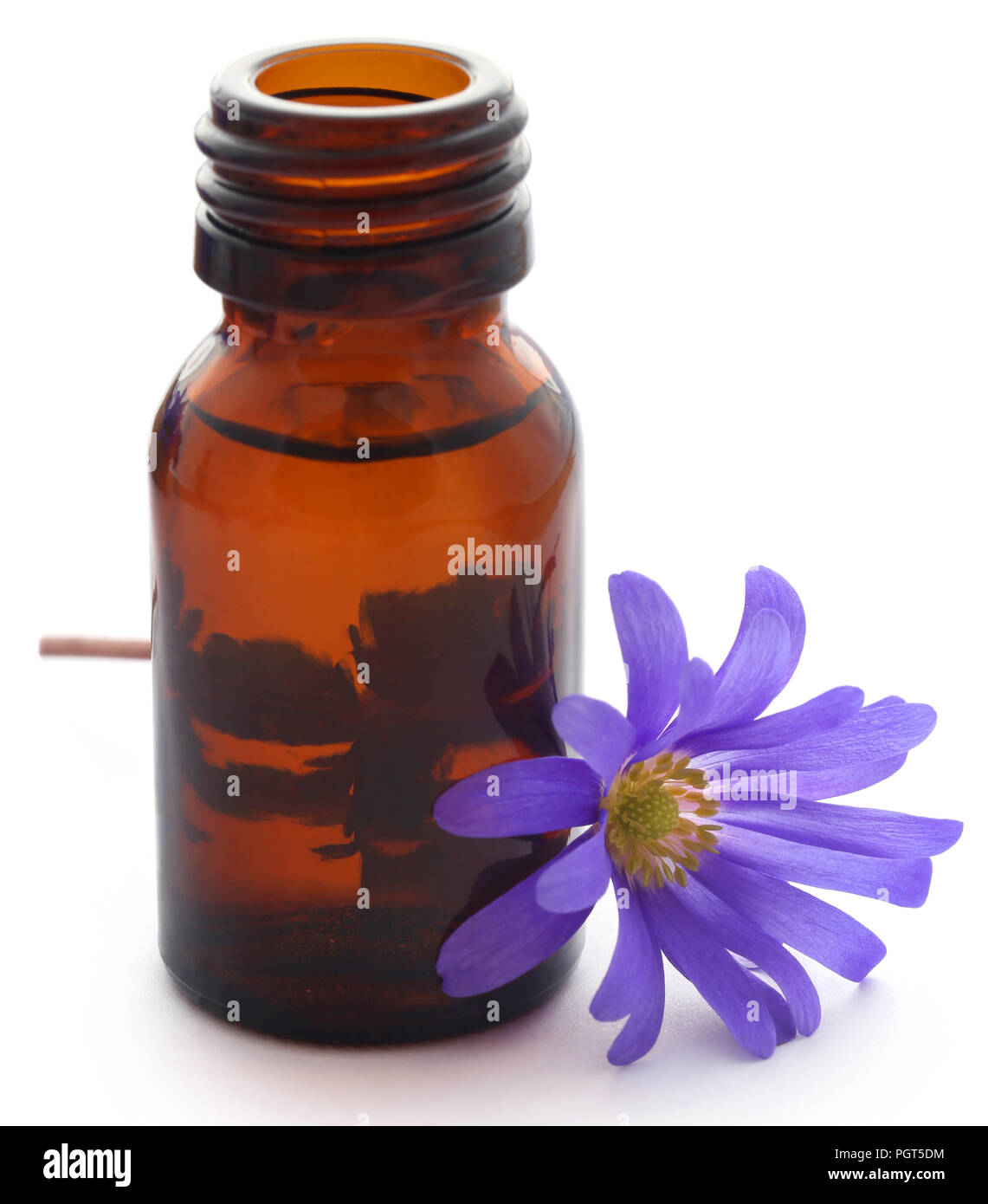 Anemone blanda sfumature di blu o Grecian Windflowers con olio essenziale in una bottiglia Foto Stock