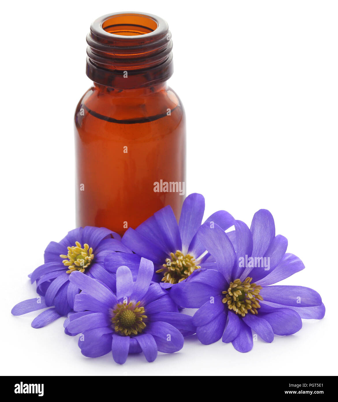 Anemone blanda sfumature di blu o Grecian Windflowers con olio essenziale in una bottiglia Foto Stock