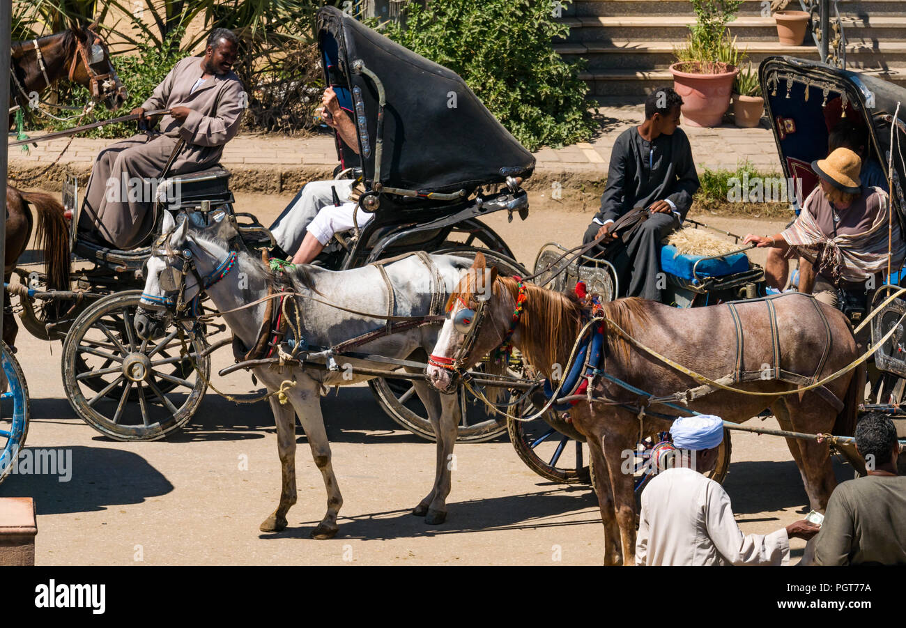 I turisti in carrozze pilotati da locale egiziano gli uomini per il trasporto di persone dal fiume Nilo le grandi navi da crociera, Edfu, Egitto, Africa Foto Stock