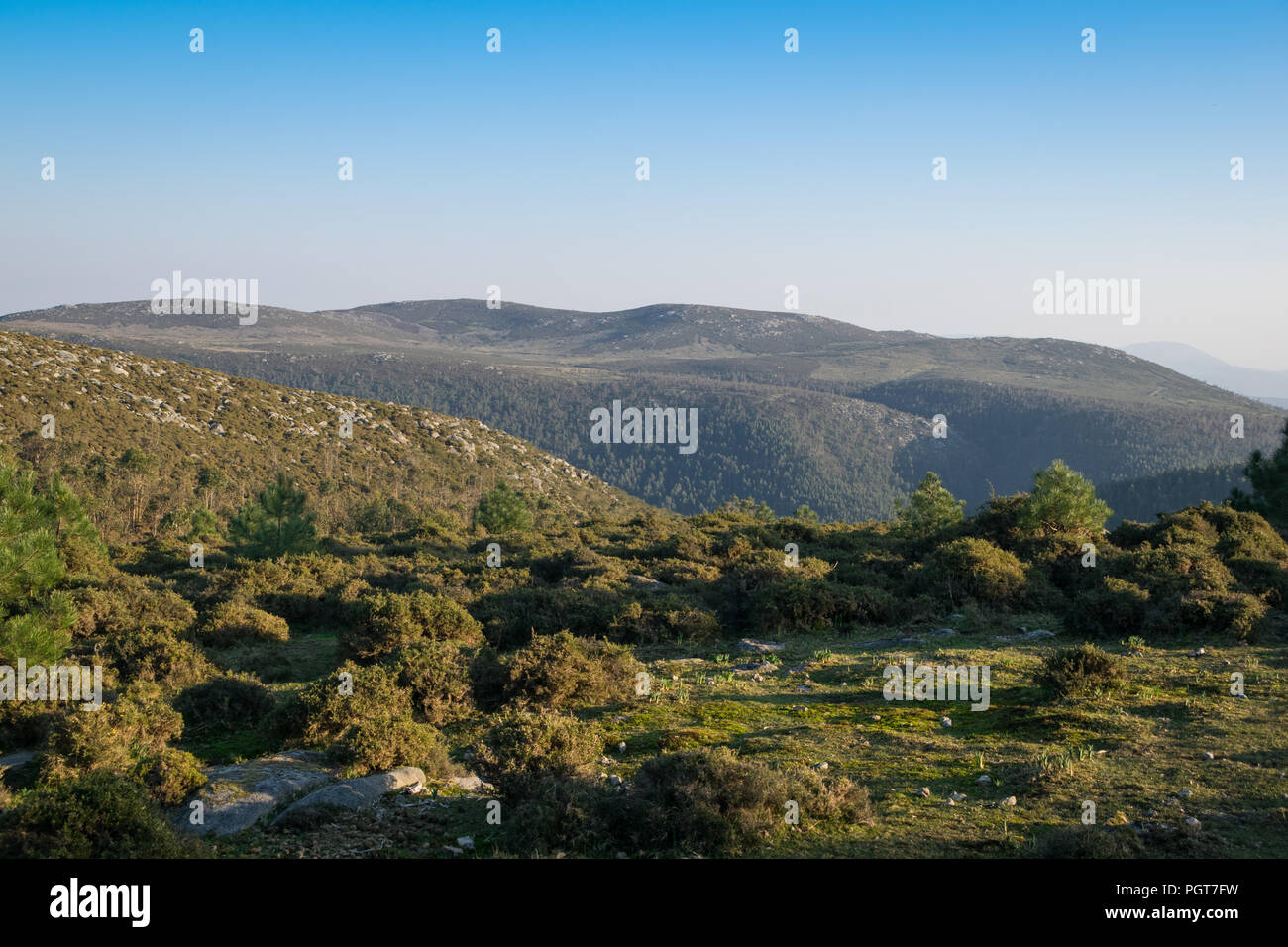 Paesaggio di una valle con alberi verdi e blu del cielo in primavera in Spagna Foto Stock