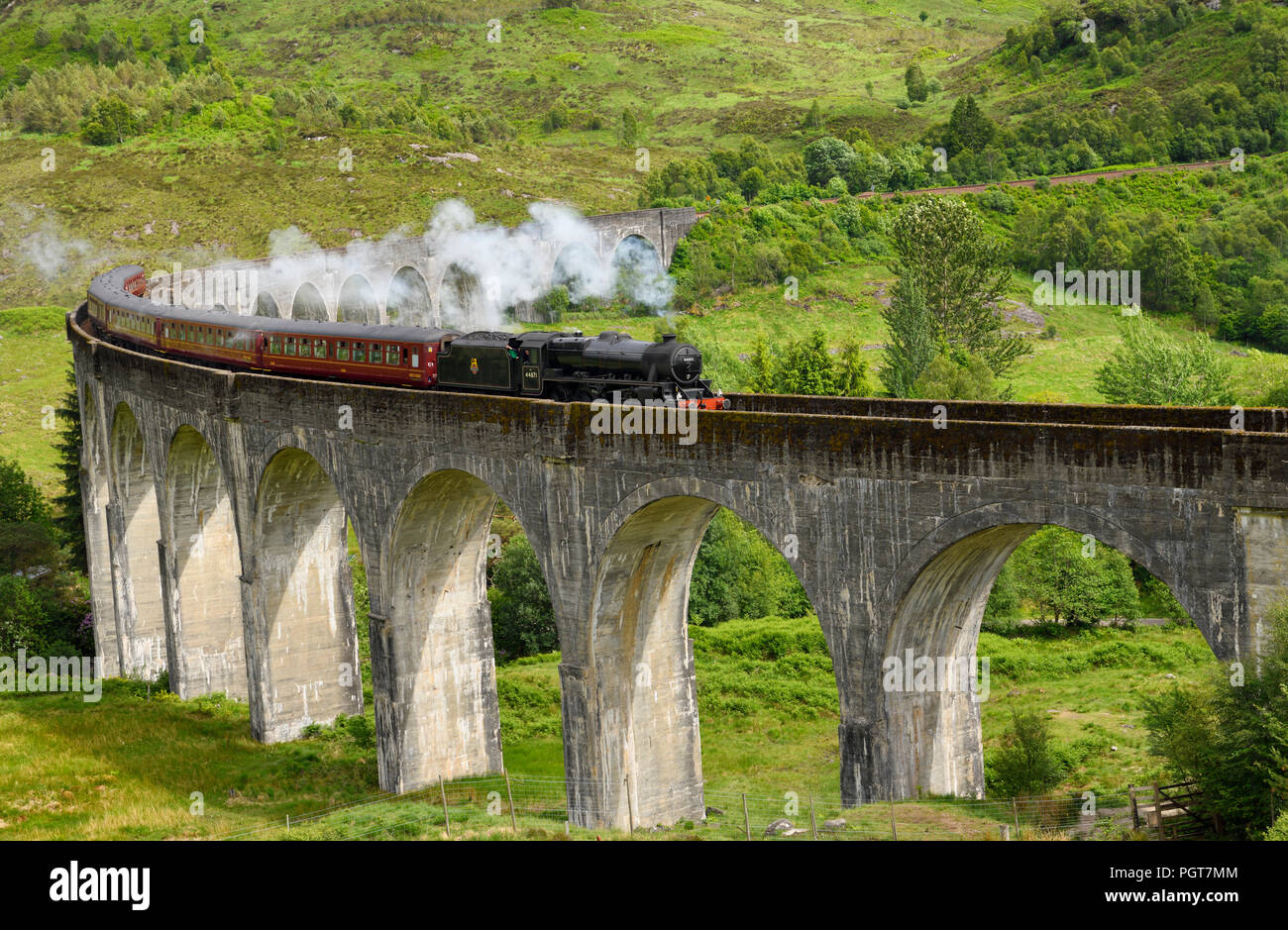 Heritage Giacobita alimentate a carbone treno a vapore di Hogwarts Express utilizzato in Harry Potter film al viadotto Glenfinnan nelle Highlands scozzesi Scotland Regno Unito Foto Stock