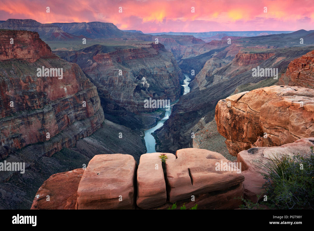 Il fiume Colorado da Toroweap si affacciano, Grand Canyon NP Foto Stock