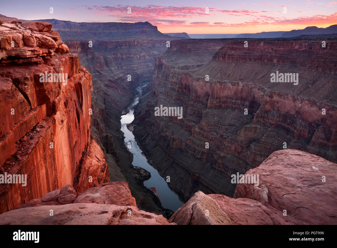 Il fiume Colorado da Toroweap si affacciano, Grand Canyon NP Foto Stock