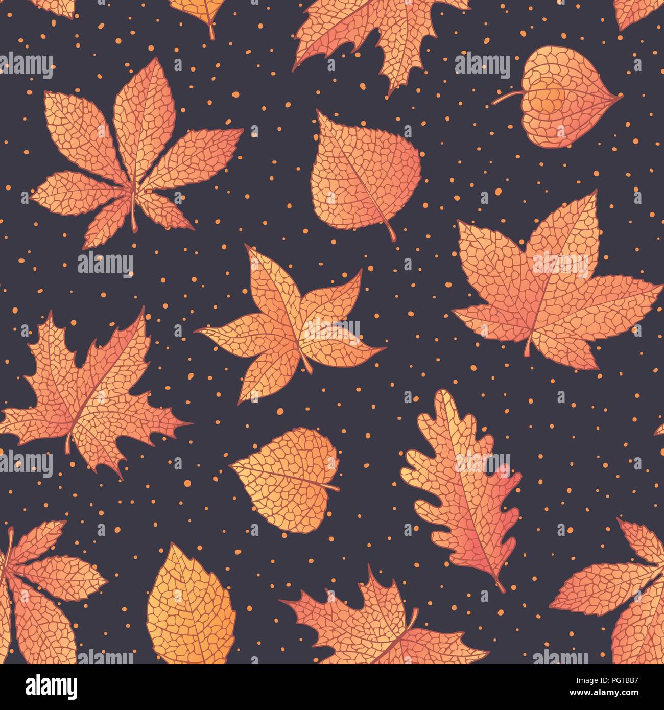 Vector autunno seamless pattern con la quercia, il pioppo, faggio, Aspen e ippocastano foglie e physalis di colore arancione sul buio backgro punteggiata Illustrazione Vettoriale