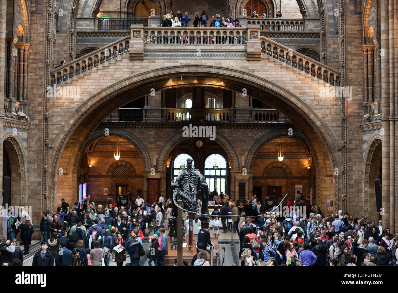 La folla intorno diplodocus scheletro nella grande sala del Museo di Storia Naturale di Londra Foto Stock