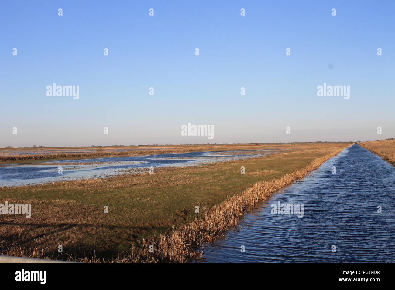 Campi allagati su un chiaro e nitido inverni di giorno Foto Stock