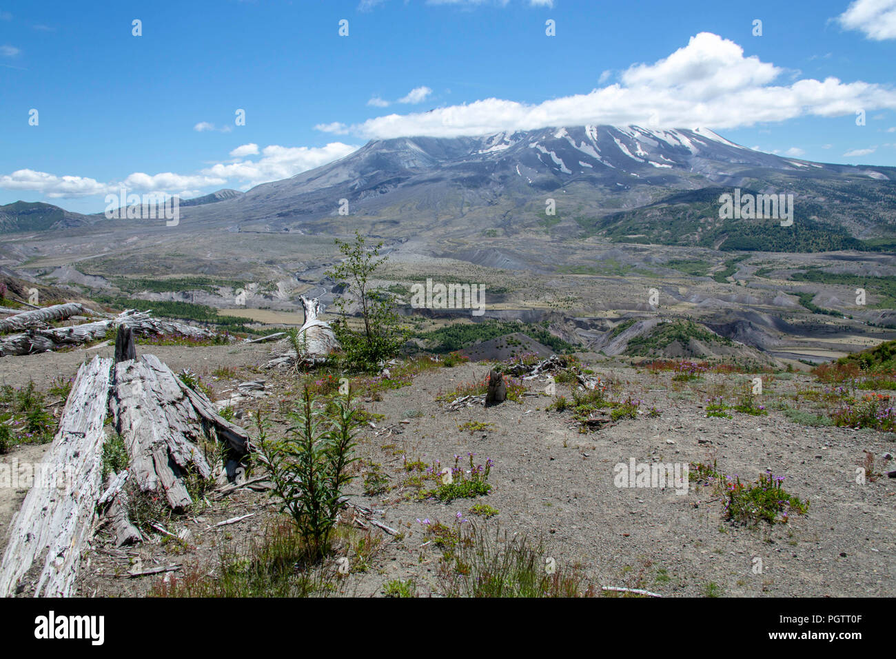 Mt St Helens a Washington Foto Stock