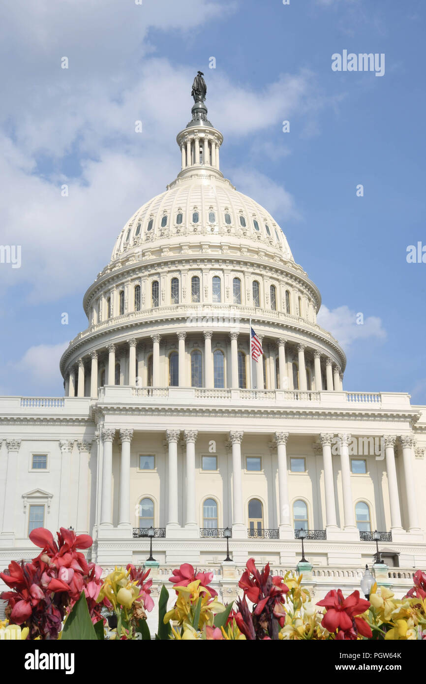 Fiori nella parte anteriore di U.S. Capitol Building su una soleggiata giornata estiva Foto Stock