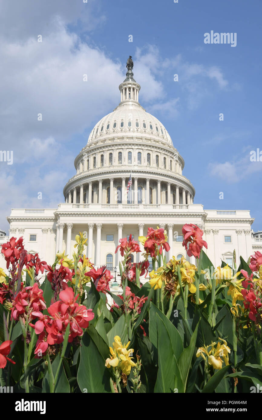 Fiori nella parte anteriore di U.S. Capitol Building su una soleggiata giornata estiva Foto Stock