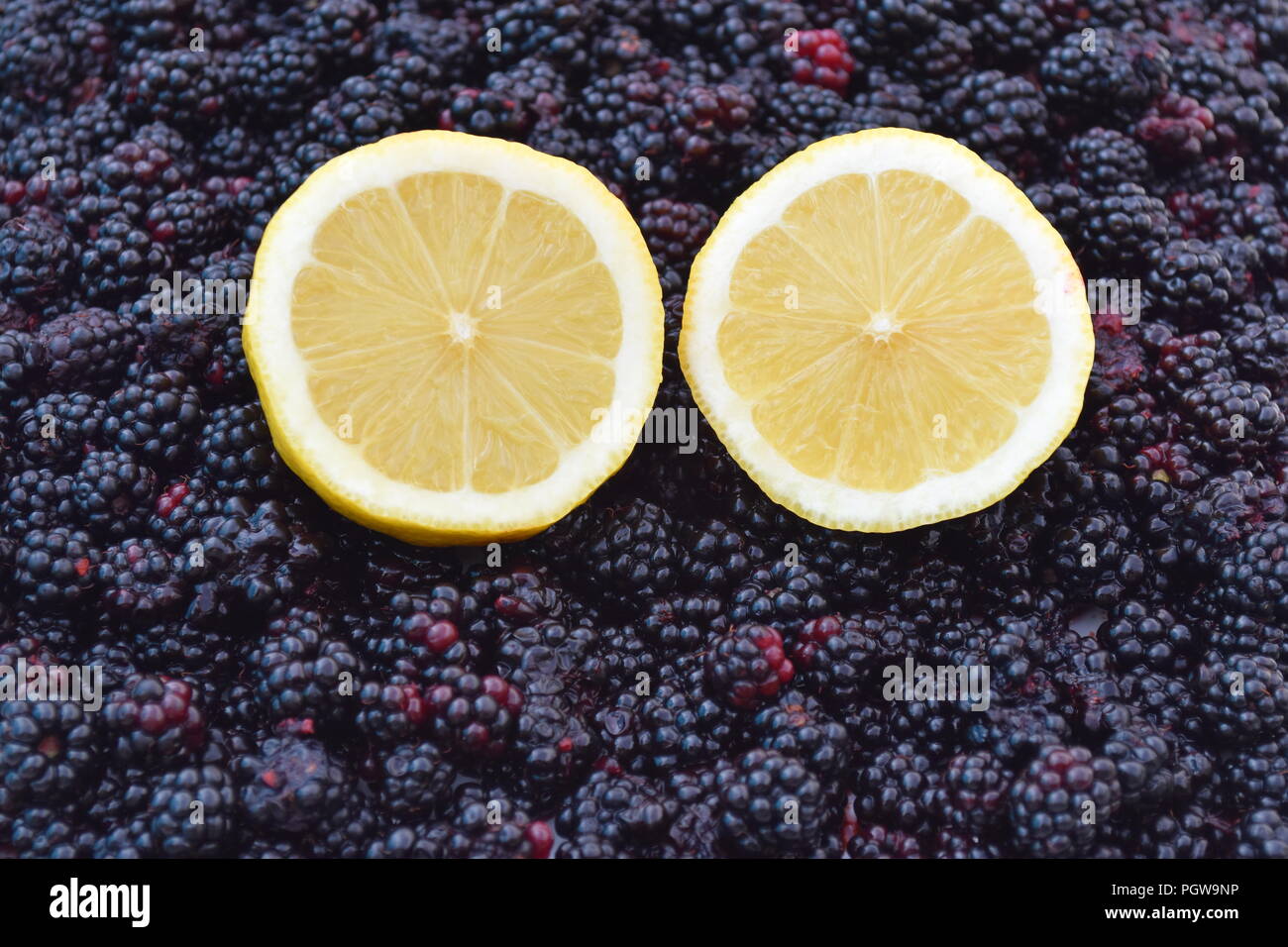 Due metà di limone su un letto di more Foto Stock