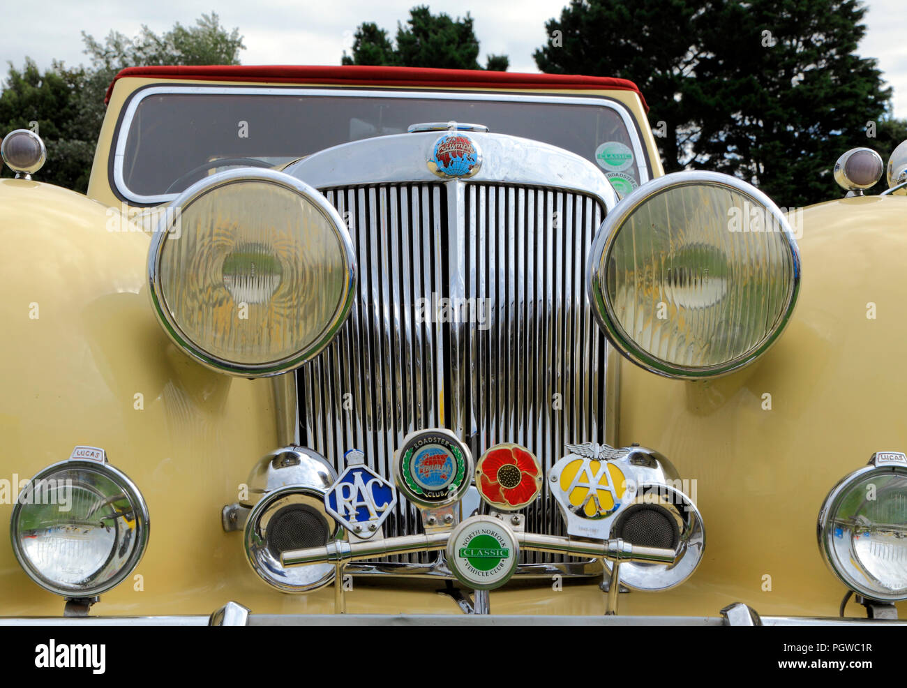 Trionfo Roadster, 1949, auto d'epoca, automobile, badge, AA, RAC, Roadster Club, North Norfolk veicolo Classic Club, dettaglio Foto Stock