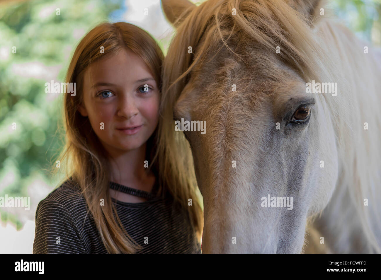 Il legame tra giovane ragazza e cavallo Foto Stock