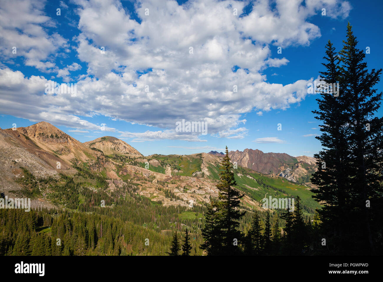 Albion bacino, poco pioppi neri americani Canyon dello Utah Foto Stock