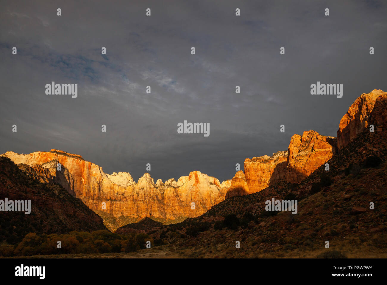 La luce del mattino su torri della Vergine, il Parco Nazionale di Zion, Utah Foto Stock