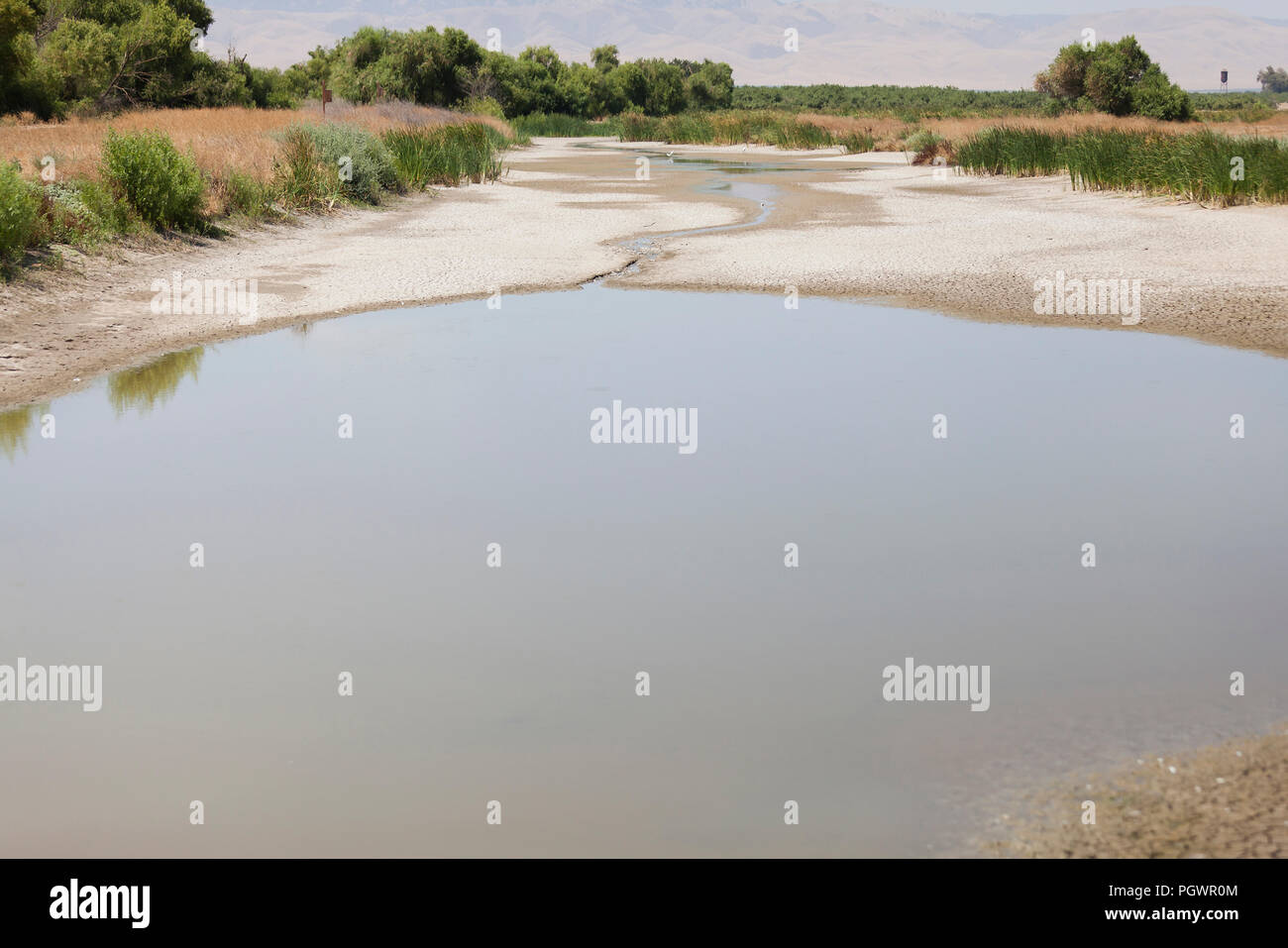 Quasi un torrente asciutto letto (aka dry arroyo, Dry Creek, lavaggio a secco, secco gulch) - San Joaquin River National Wildlife Refuge, California USA Foto Stock