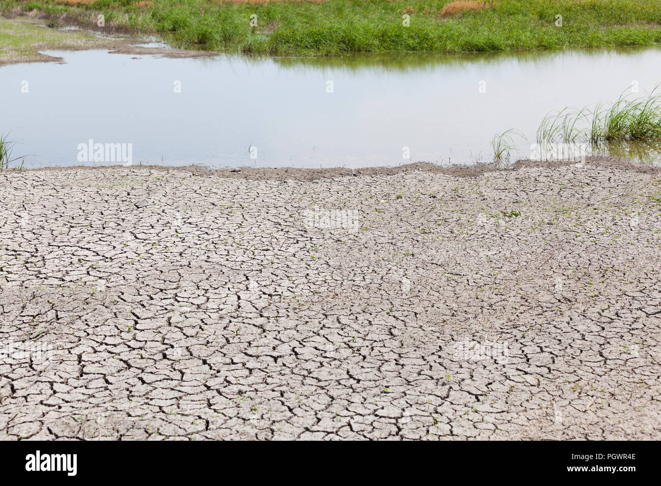 Quasi un torrente asciutto letto (aka dry arroyo, Dry Creek, lavaggio a secco, secco gulch) - San Joaquin River National Wildlife Refuge, California USA Foto Stock