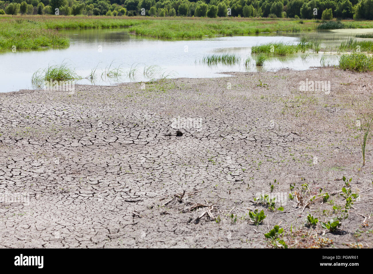 Quasi un torrente asciutto letto (aka dry arroyo, Dry Creek, lavaggio a secco, secco gulch) - San Joaquin River National Wildlife Refuge, California USA Foto Stock