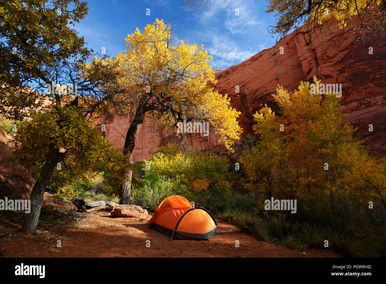 Campeggio, Coyote Gulch, Grand Staircase-Escalante NM, Utah Foto Stock