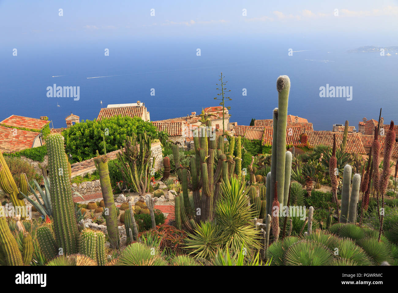 Giardino botanico di Eze, con vari cactus sul primo piano, vista aerea, Riviera Francese, Europa Foto Stock