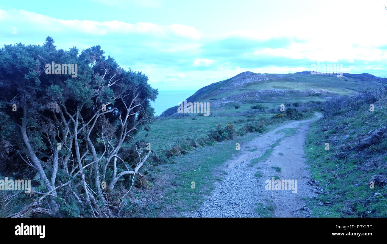 Testa di Bray, Bray, Irlanda Foto Stock