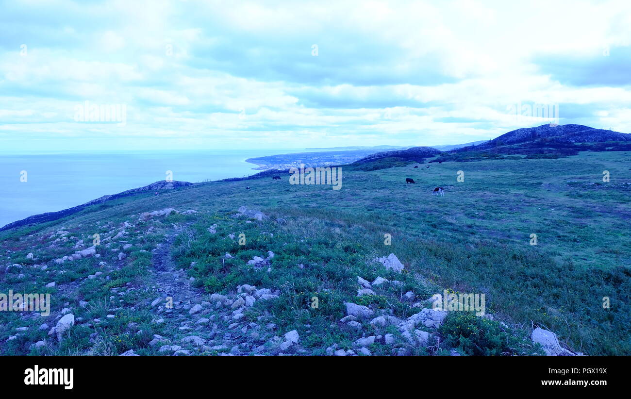 Testa di Bray, Bray, Irlanda Foto Stock