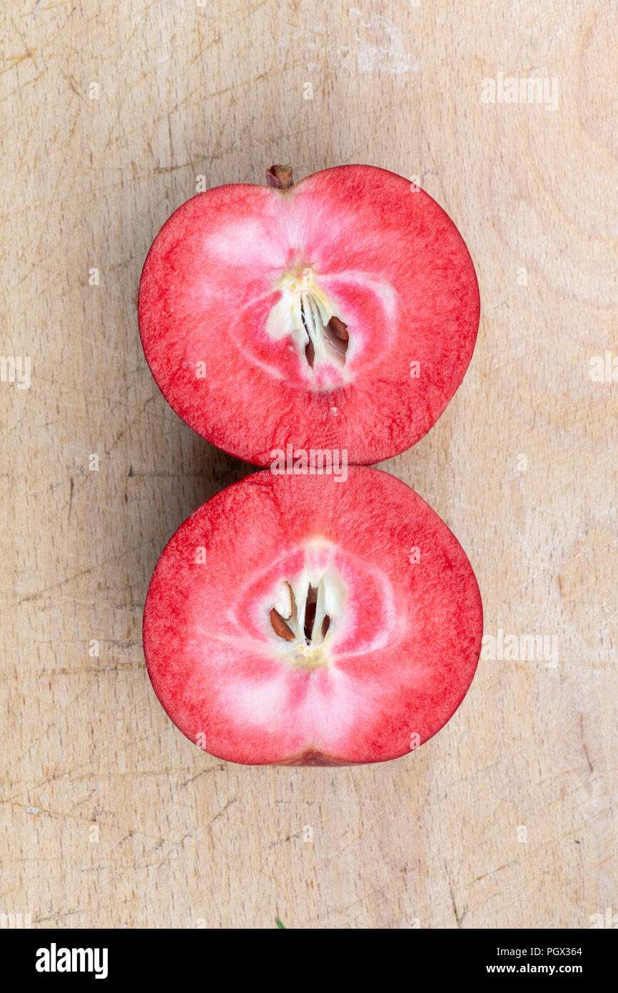 Malus domestica 'Tickled pink' / Baya Marisa. Raccolte Apple 'Tickled rosa'. Tagliato a metà per mostrare la carne rossa Foto Stock