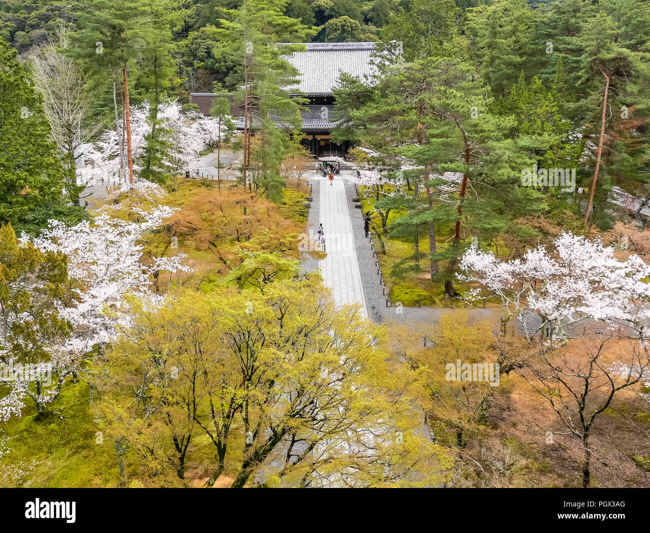 Vista aerea del Tempio di Nanzenji con fiori di ciliegio dal gate di Sammon - Kyoto, Giappone Foto Stock