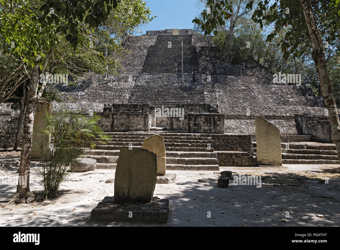 Le rovine della città maya di Calakmul, Campeche, Messico. Foto Stock