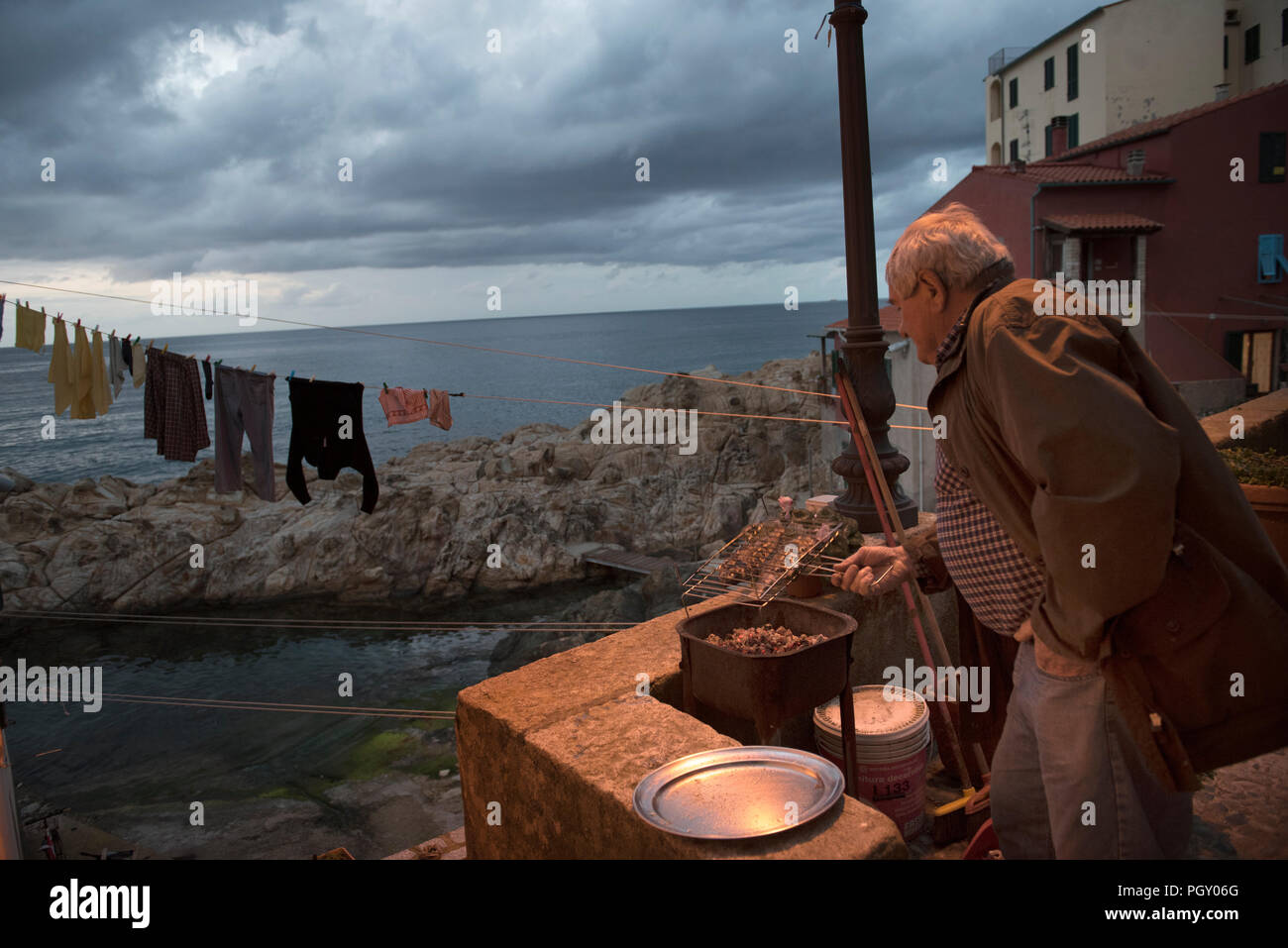 Marciana Marina, inizio primavera in area di cotone Foto Stock