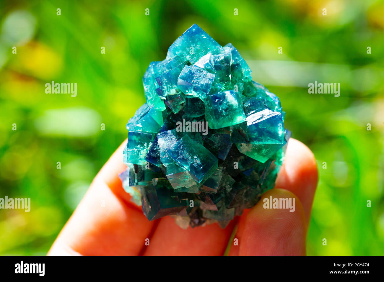 Macro di pietra minerale Fluorite cristallo su uno sfondo nero close-up Foto Stock