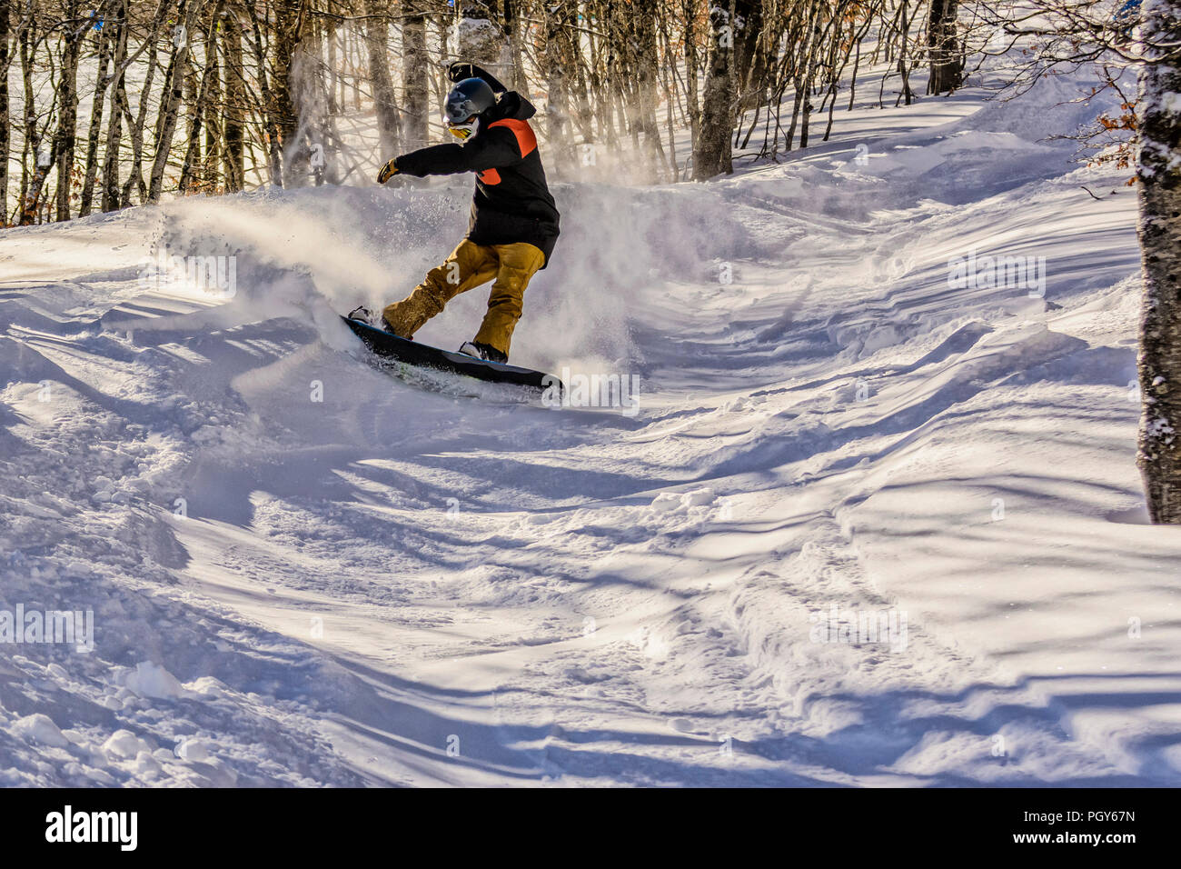 Un freestyle snowboarder freni in un piccolo sentiero vicino agli alberi Foto Stock