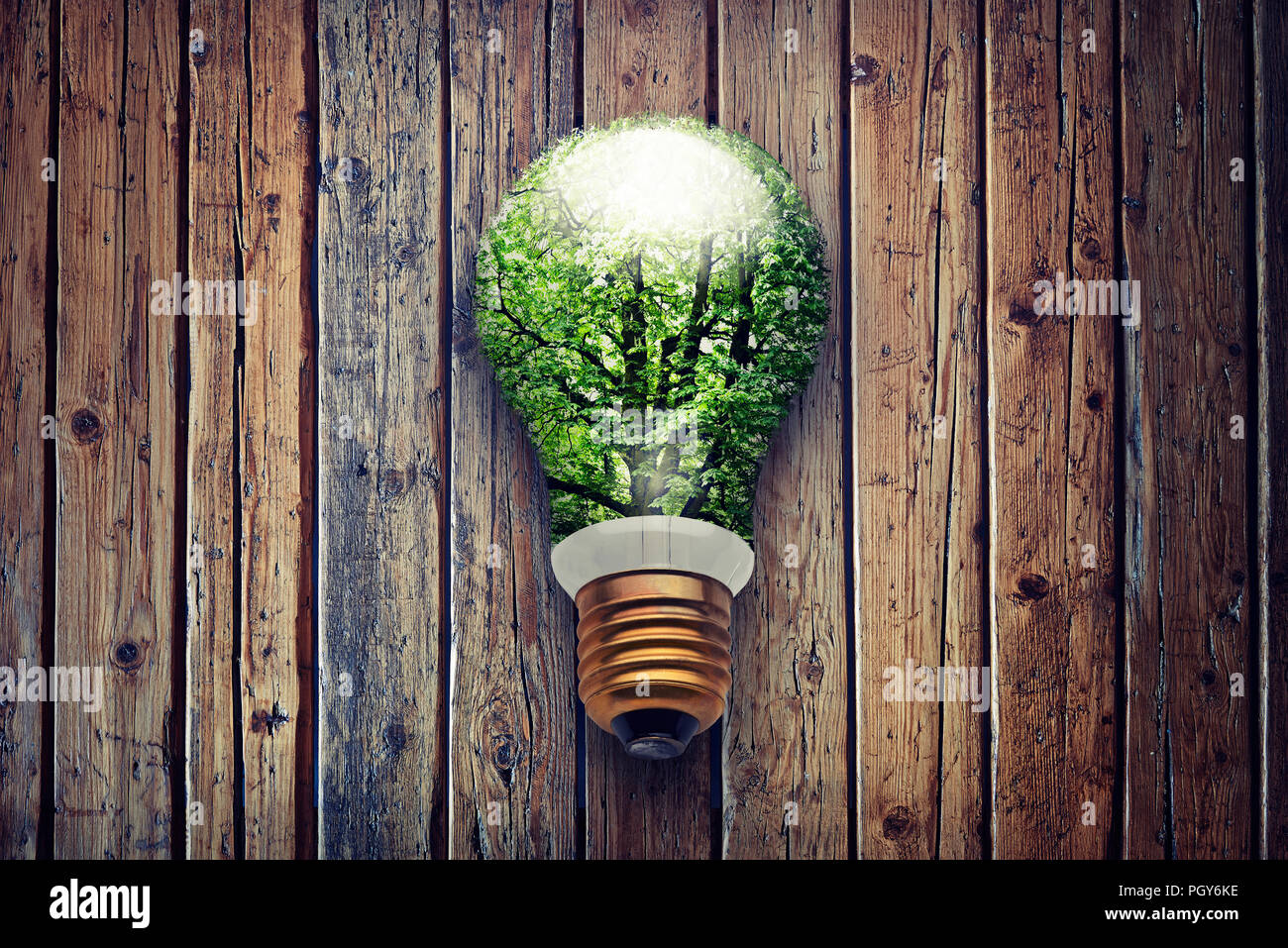 In legno tabella strutturata da sopra e verde elettrico lampadina ambientale la frantumazione della lampada Foto Stock