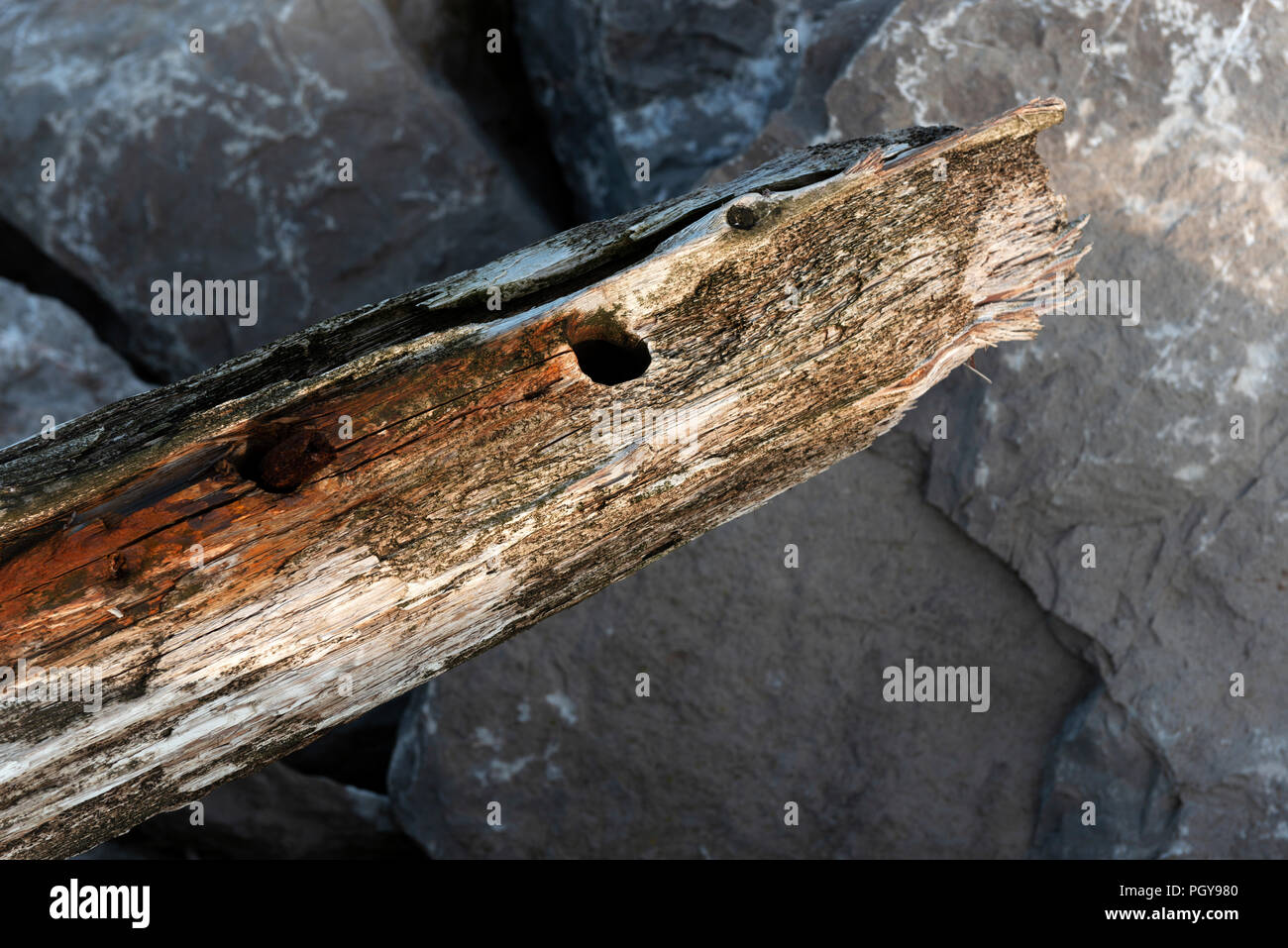120 anni di pennelli in legno Foto Stock