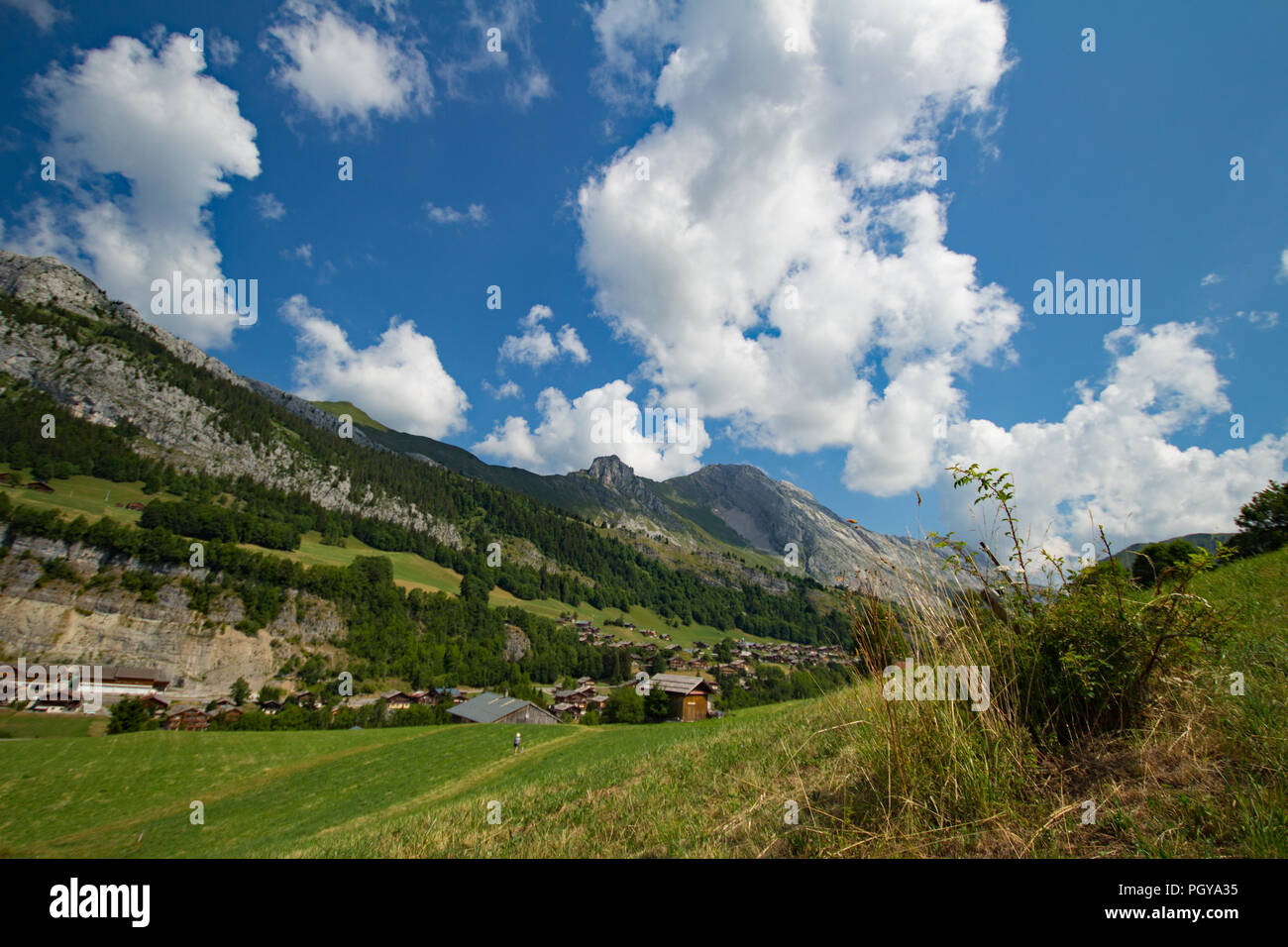 Pascoli e il Aravis montagne, Jalouvre in pieno sole estivo. Foto Stock