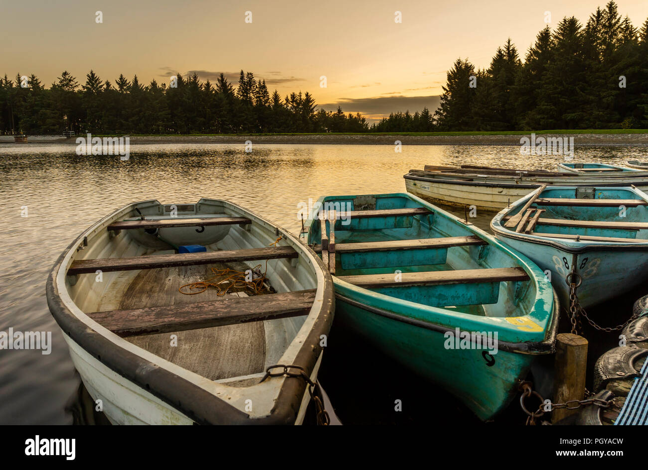 Alcune barche a remi Beecraigs Loch, in Beecraigs Country Park, vicino a Linlithgow, West Lothian. Foto Stock