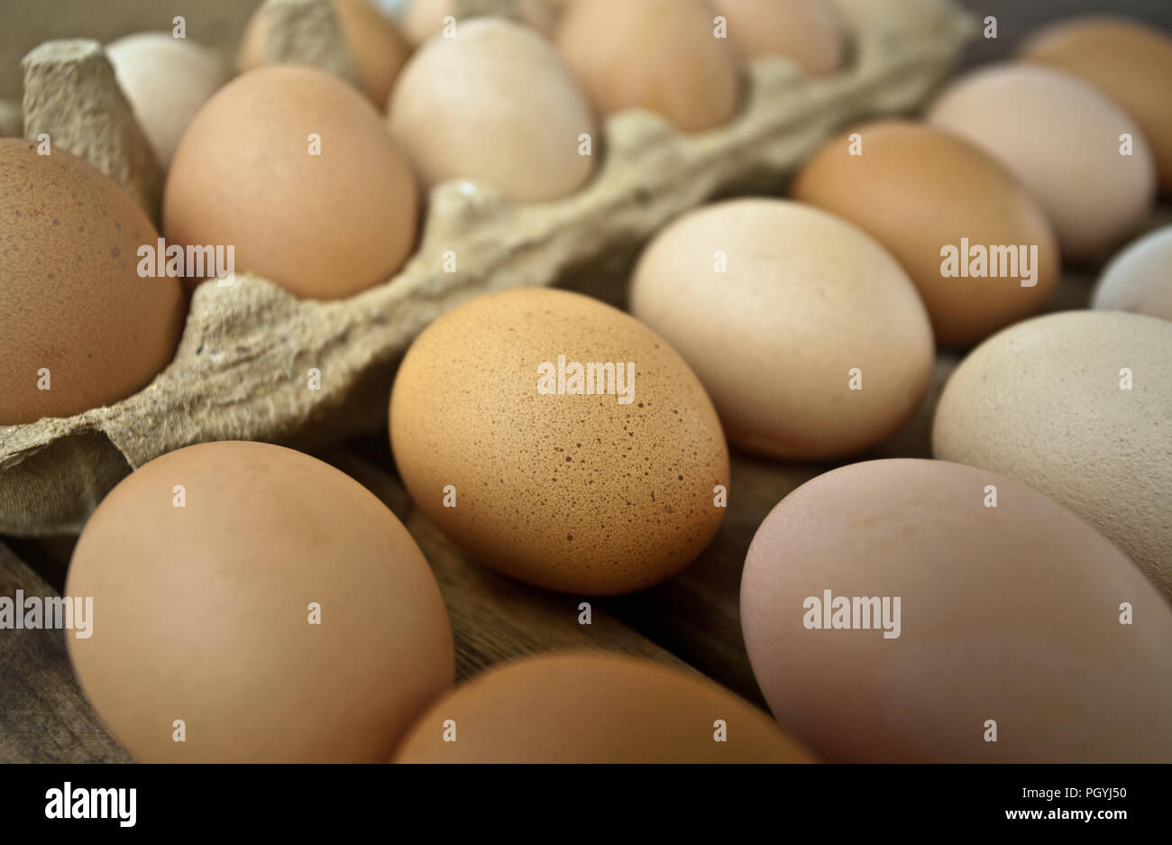 Uova Foto Stock