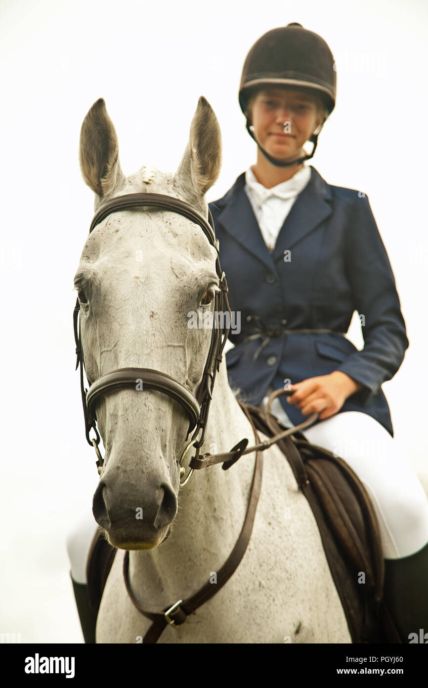 Grigio mare e pilota Foto Stock