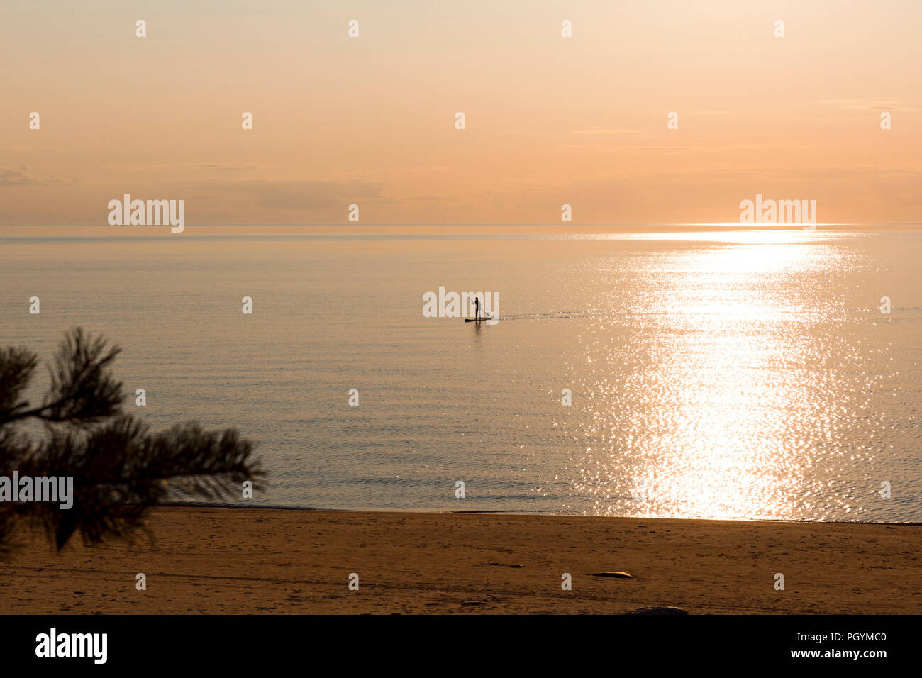 In piedi e cavalcare con un surf / tavola da surf nel tramonto al mare nella luce naturale Foto Stock