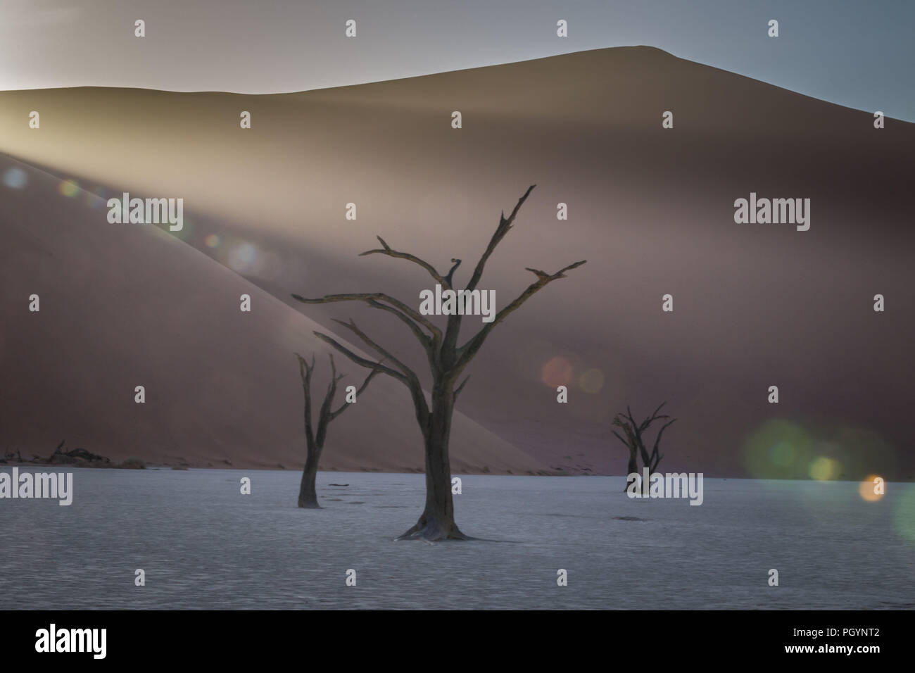 Gli alberi morti in guardia per difendere Deadvlei in Namib-Naukluft National Park, Namibia; la vaschetta una volta aveva acqua dal fiume Tsauchab, ma un cambiamento ambientale Foto Stock