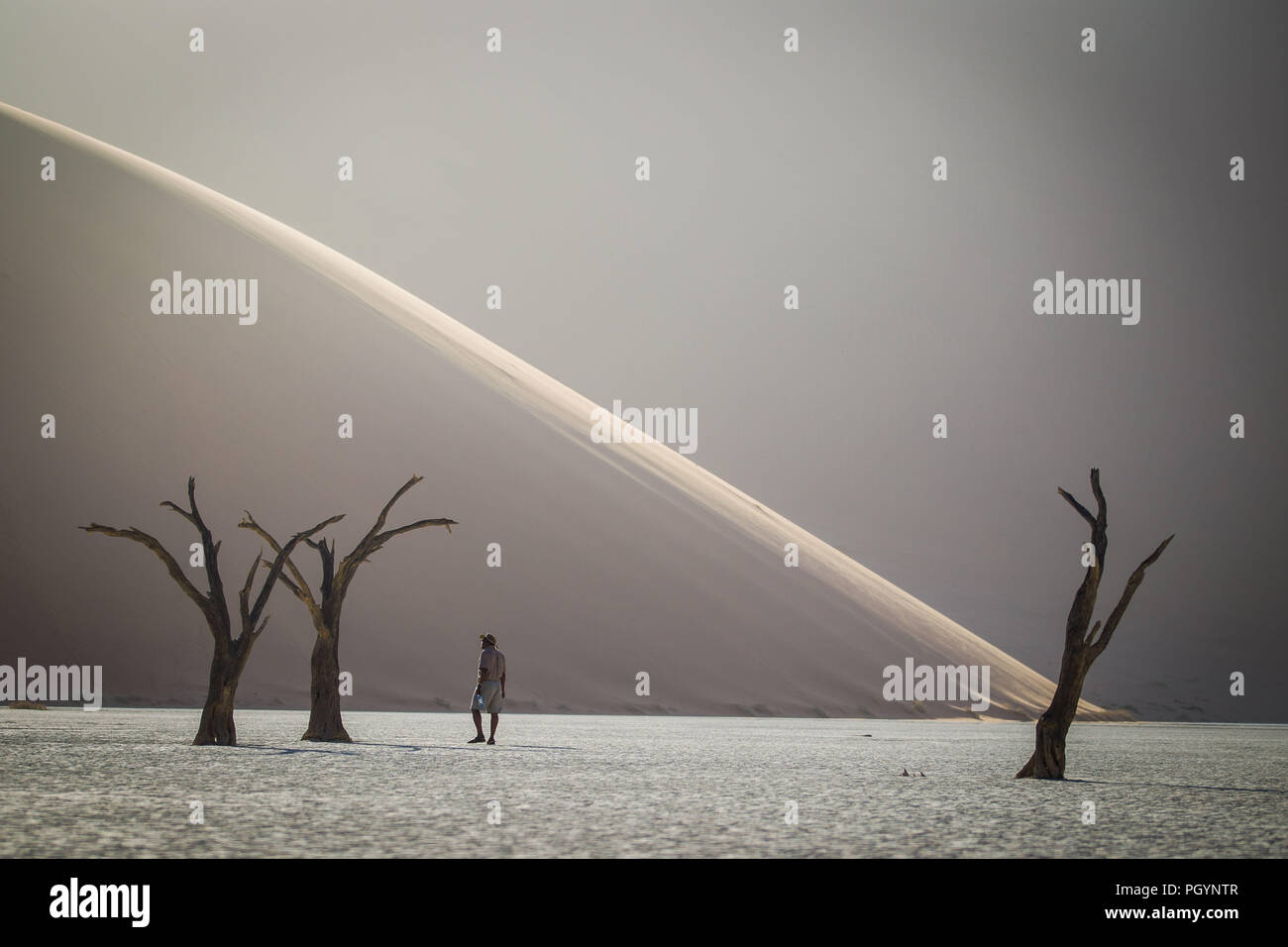 Visitatore ammira il paesaggio panoramico a Deadvlei, Namib-Naukluft National Park, Regione di Hardap, Namibia. Foto Stock