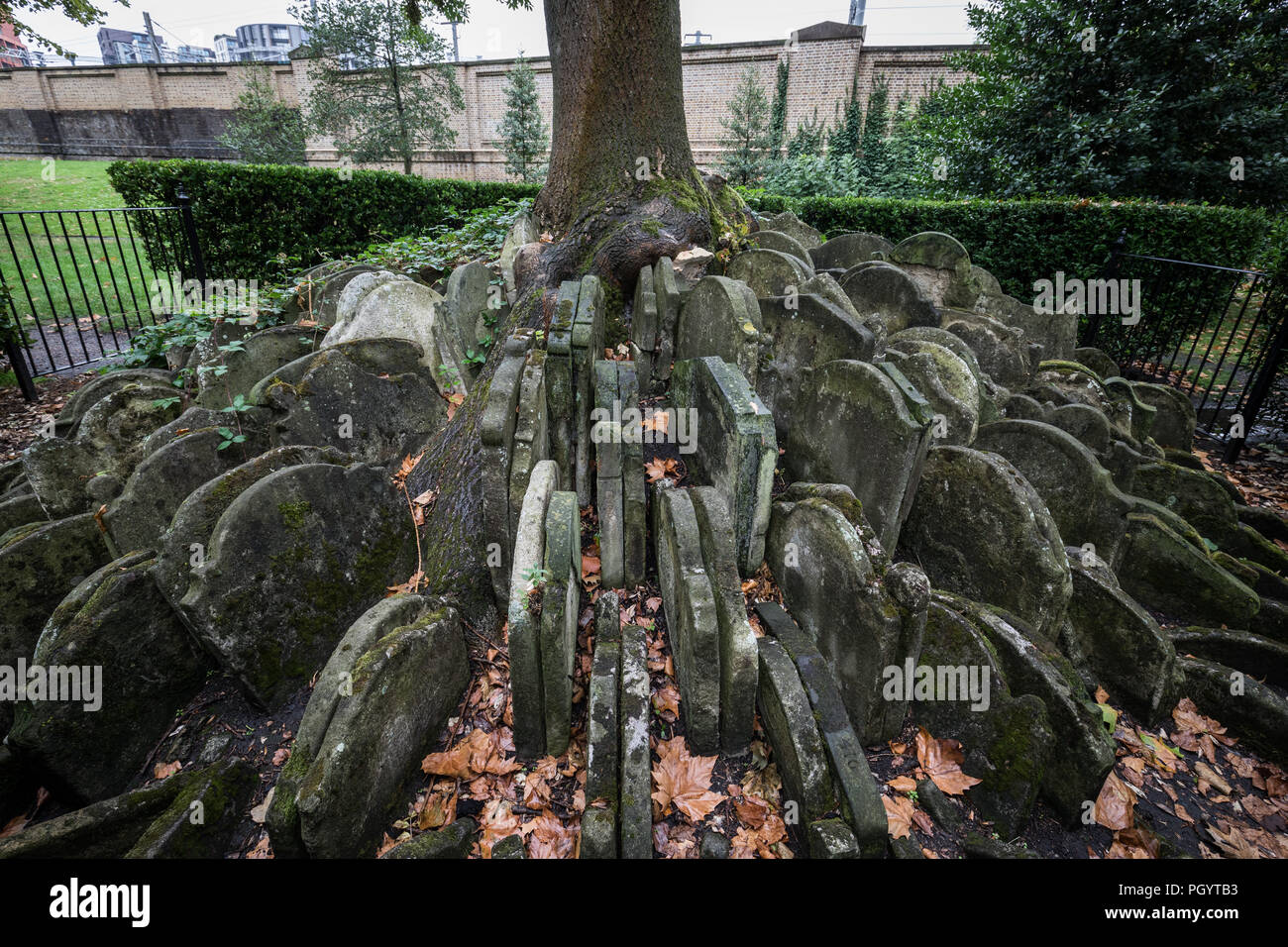 L'ardito albero a St Pancras vecchia chiesa in Somers Town, Londra, Regno Unito. Foto Stock