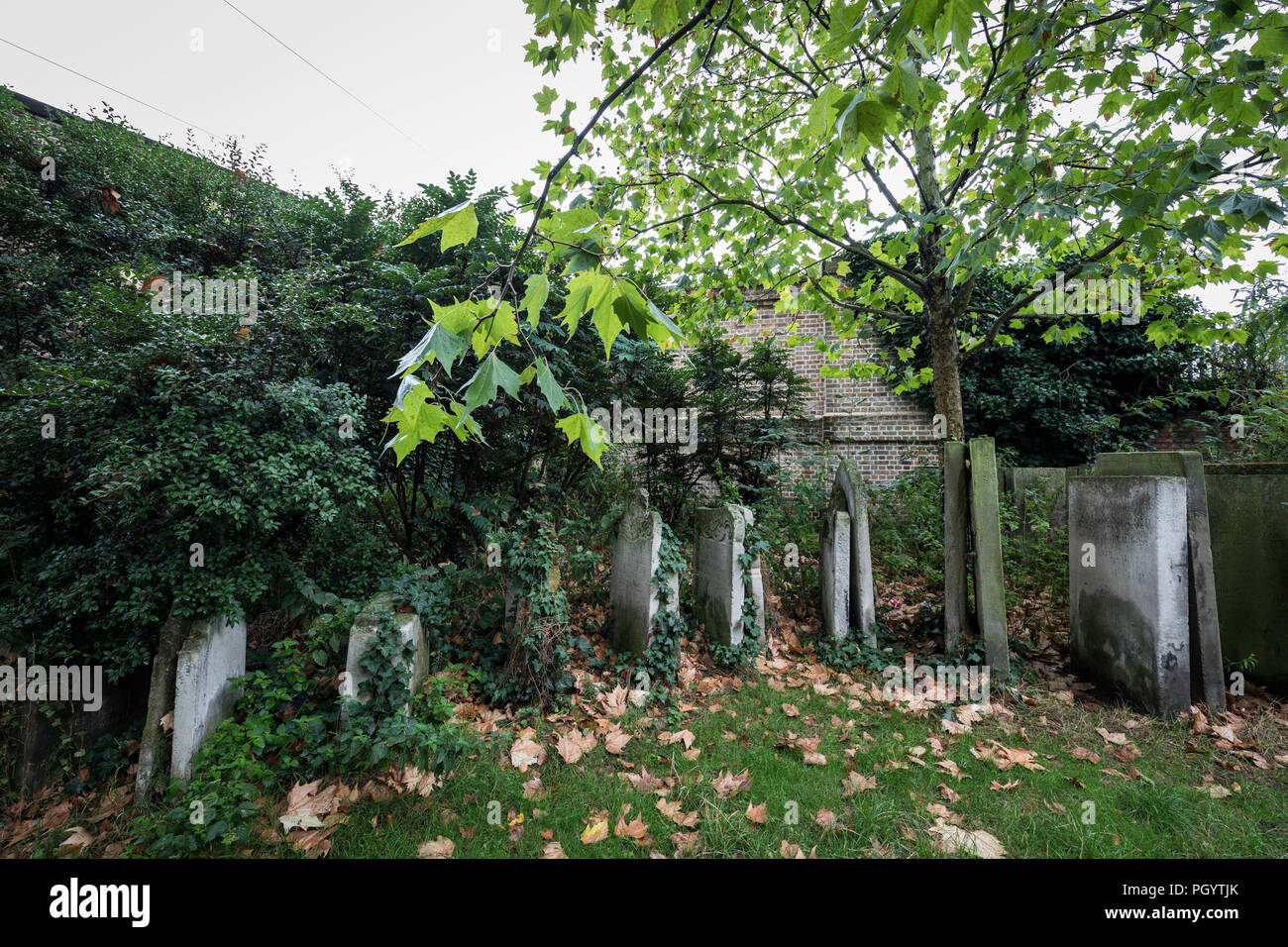 St Pancras vecchia chiesa in Somers Town, Londra, Regno Unito. Foto Stock