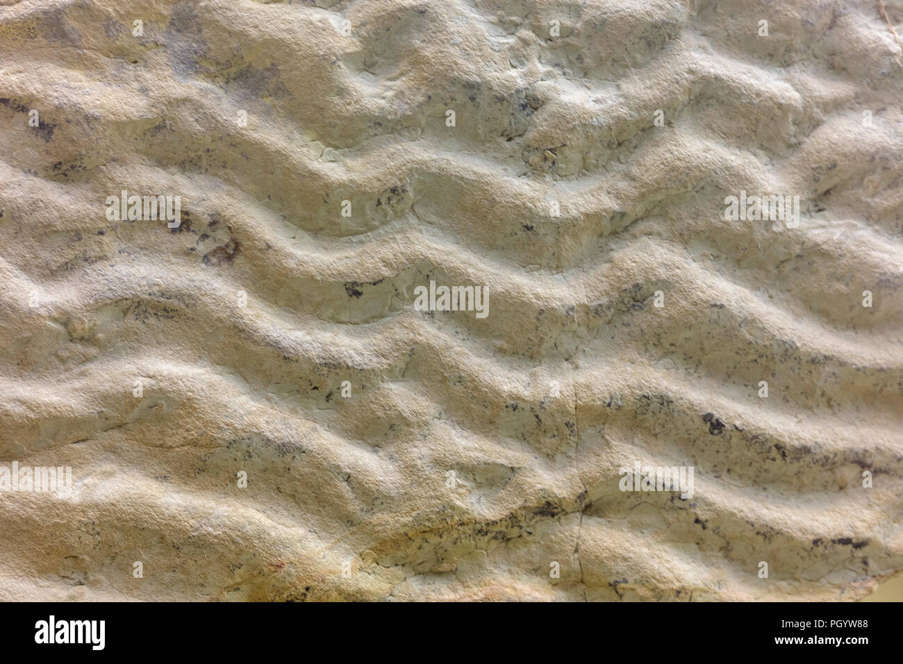 Tracce fossili delle onde del mare sulla sabbia dal mare antico in Mongolia, il fondo del mare, Mosca Museo Paleontologico, Mosca, Russia Foto Stock