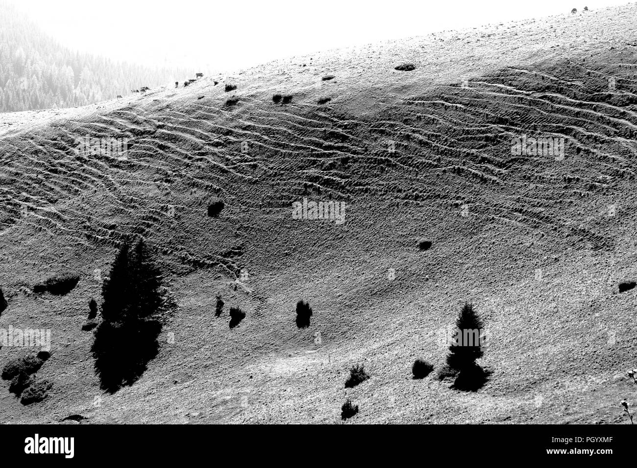 Scenario di collina nera immagini e fotografie stock ad alta