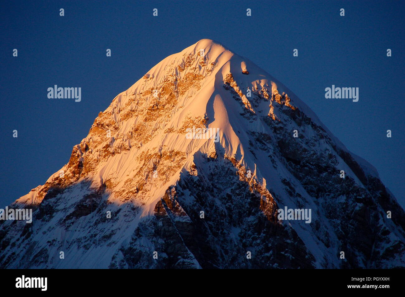 Pumori Foto Stock