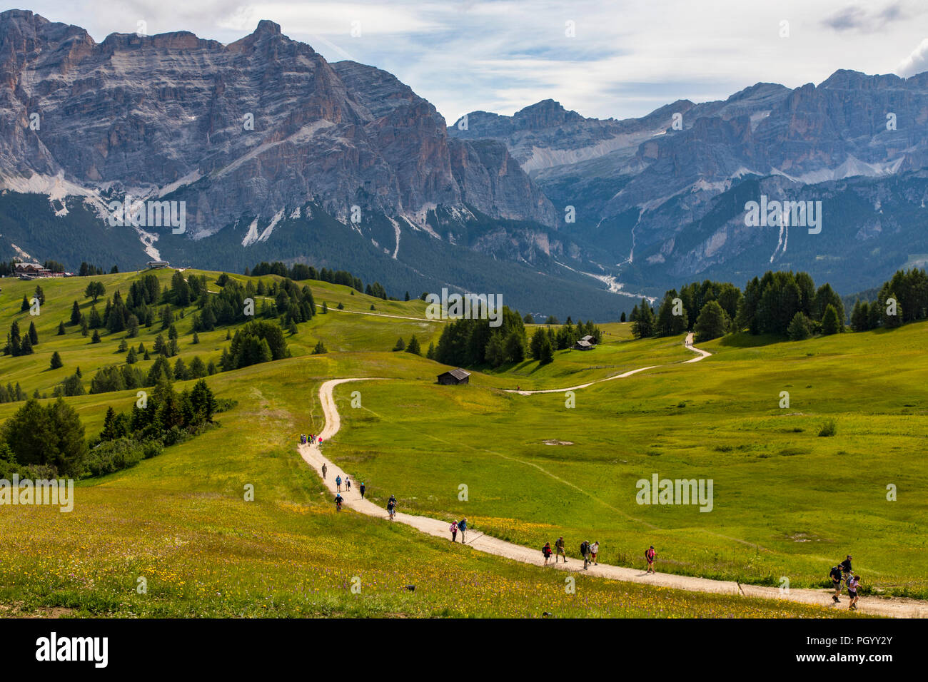 L'Italia, Alto Adige, Trentino, il Piz La Ila altopiano vicino a Stern / La Villa, prato alpino, escursionista Foto Stock