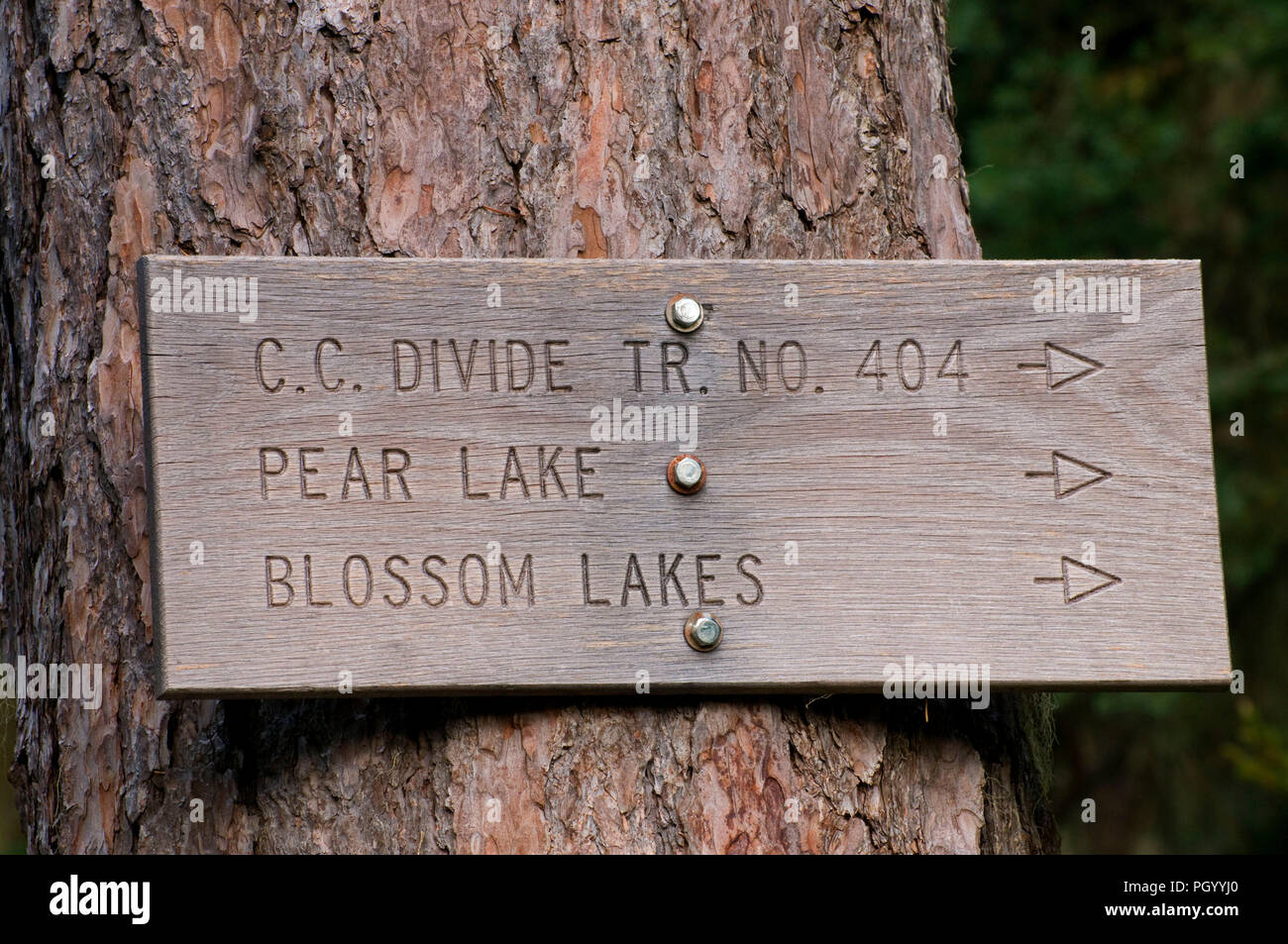 Segnavia lungo CC Divide Trail, Lolo National Forest, Montana Foto Stock